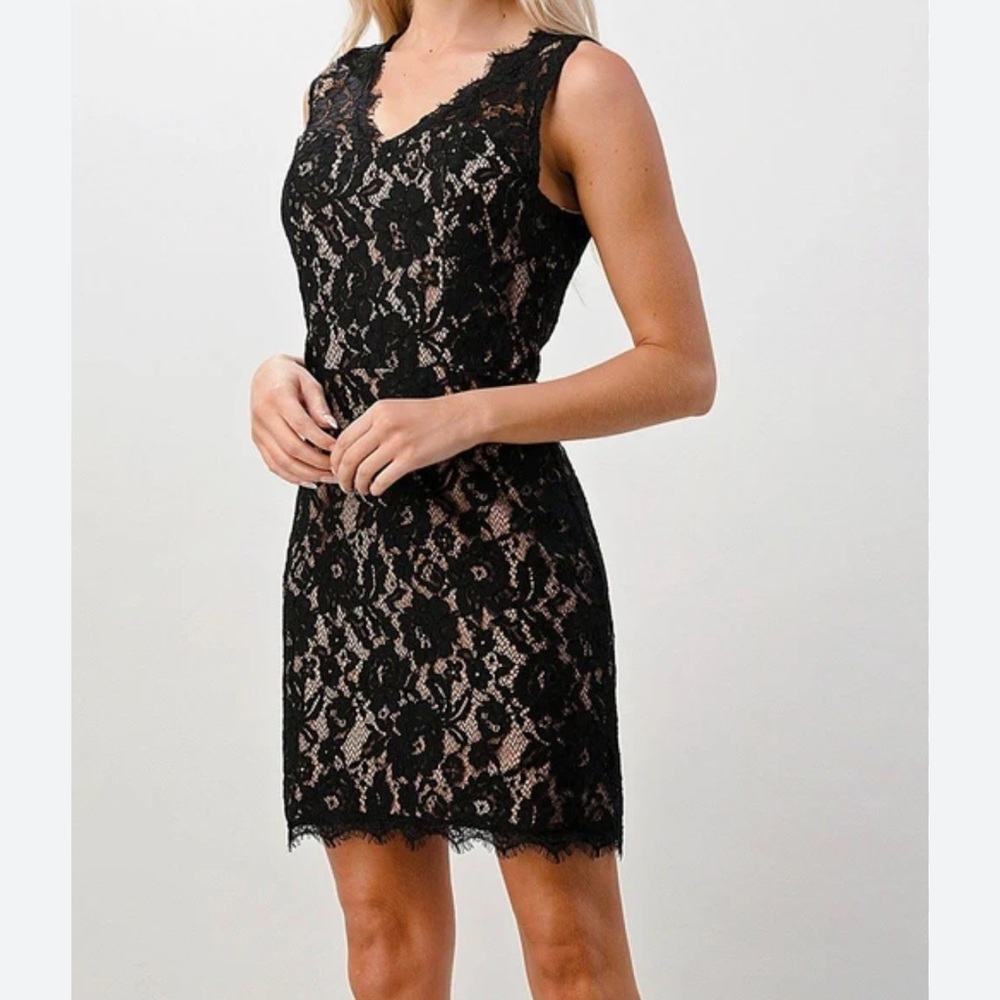 Eliza J Lace Overlay Sheath Mini Dress V Neckline Eyelash Cocktail NWT-8